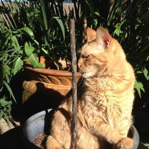 Meet your Posher, Sharon